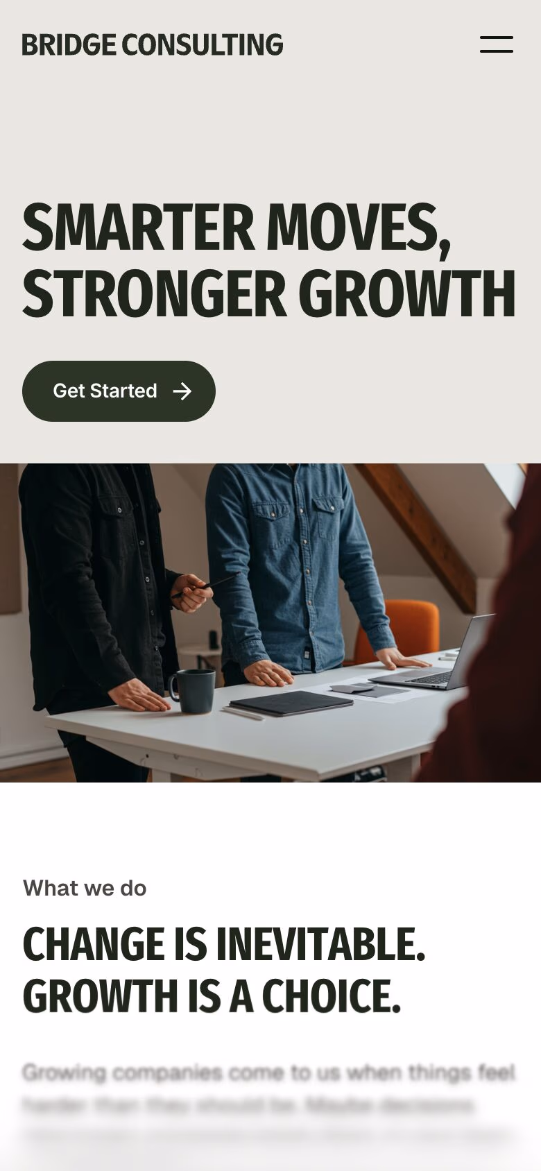 Bridge Consulting mobile screenshot