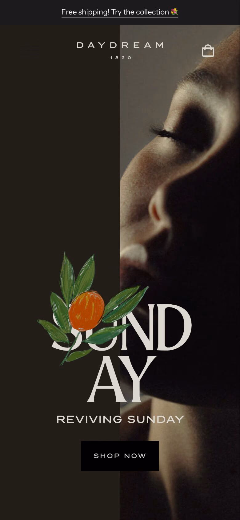 Daydream 1820 mobile screenshot