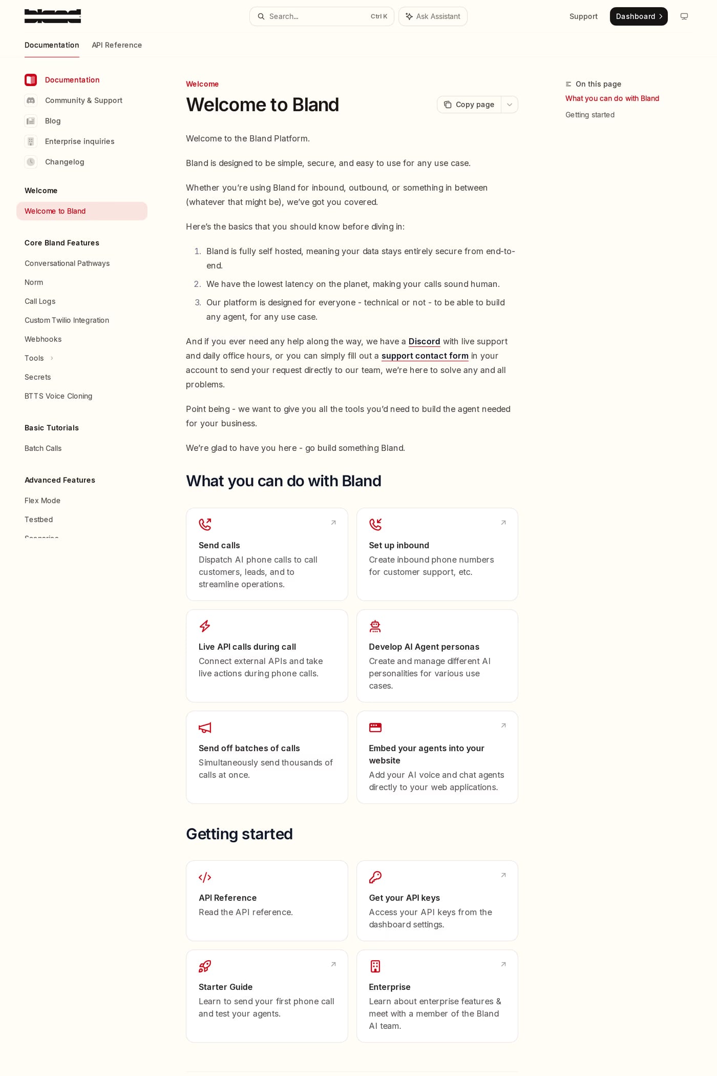 Bland AI docs page