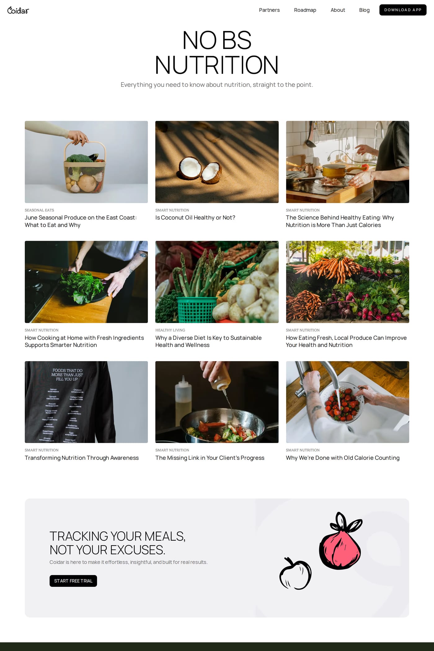 Coidar — screenshot of the blog page