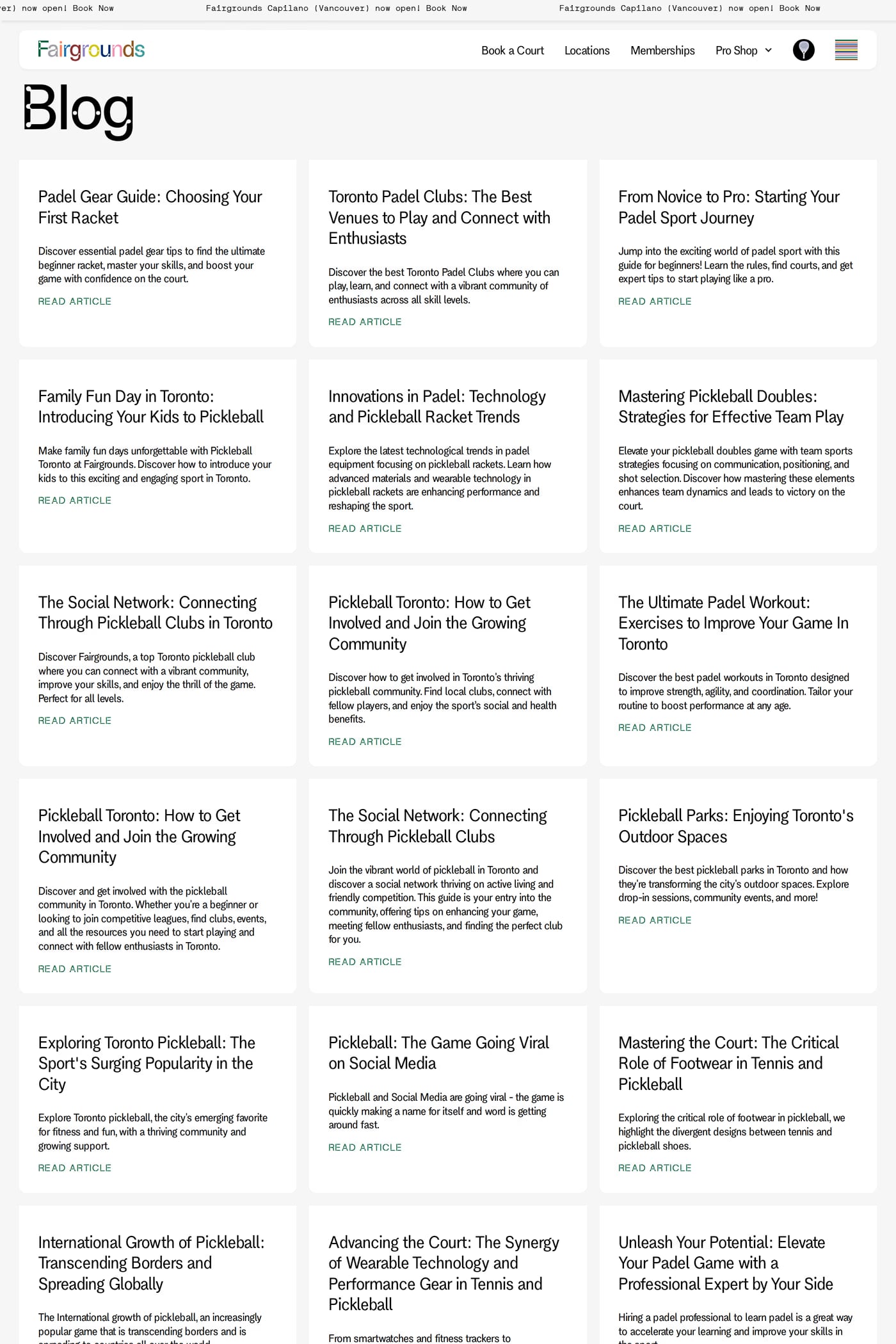 Fairgrounds — screenshot of the blog page