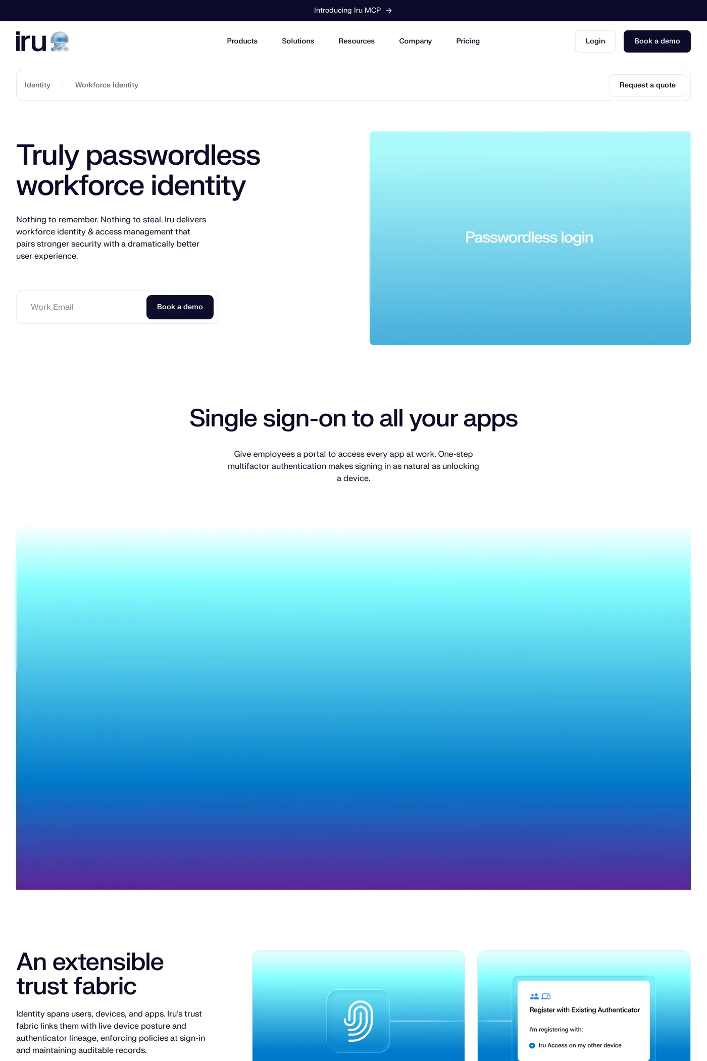 Iru — screenshot of the features page
