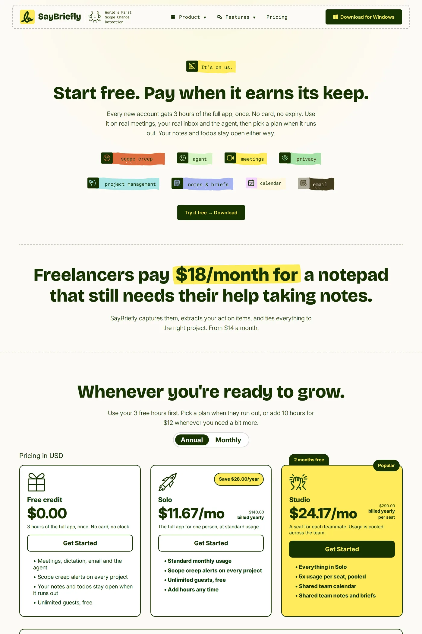 SayBriefly — screenshot of the pricing page