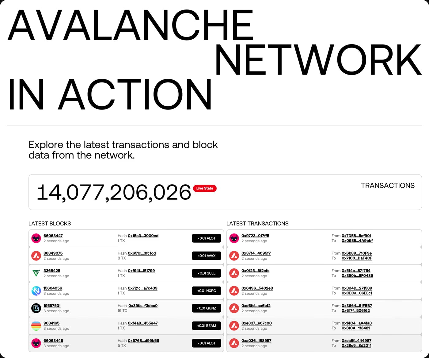 Avax.network — screenshot of the stats section