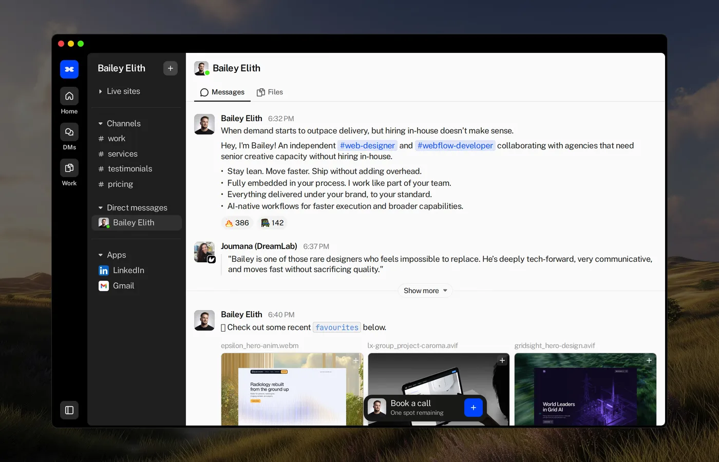 Bailey Elith — screenshot of the about section