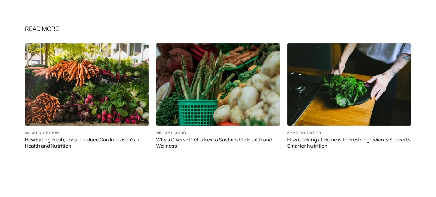 Coidar — screenshot of the blog section