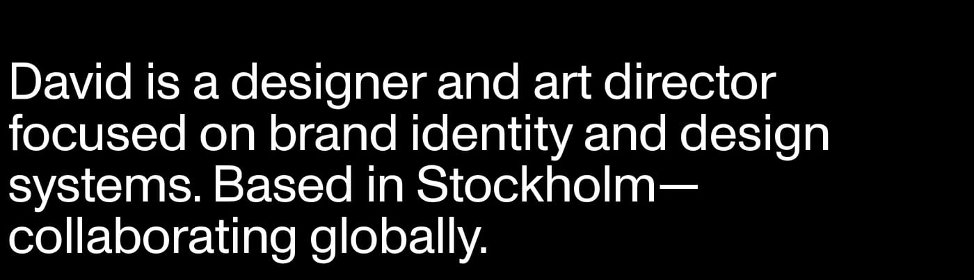 David Rinman About section
