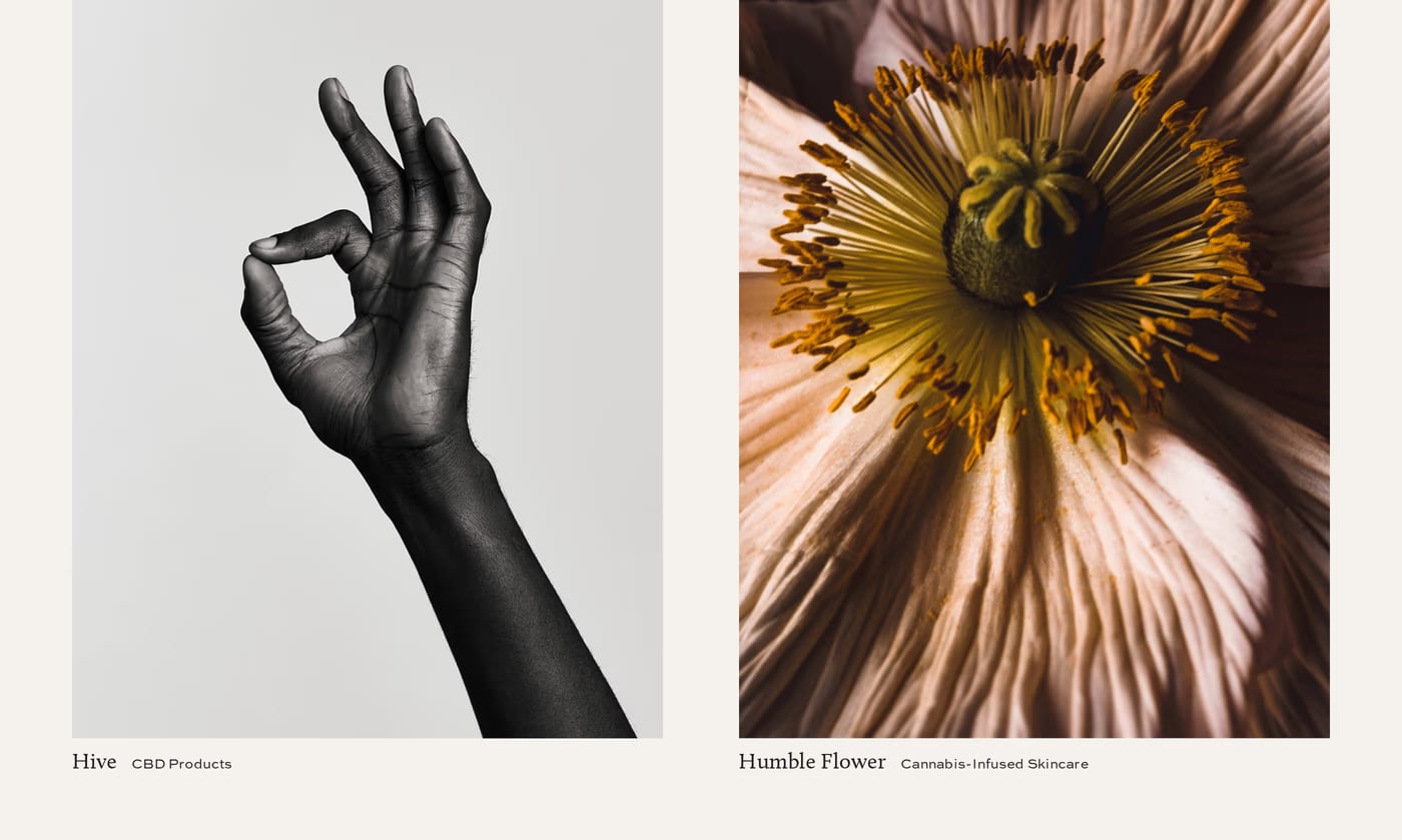 Edition — screenshot of the portfolio section