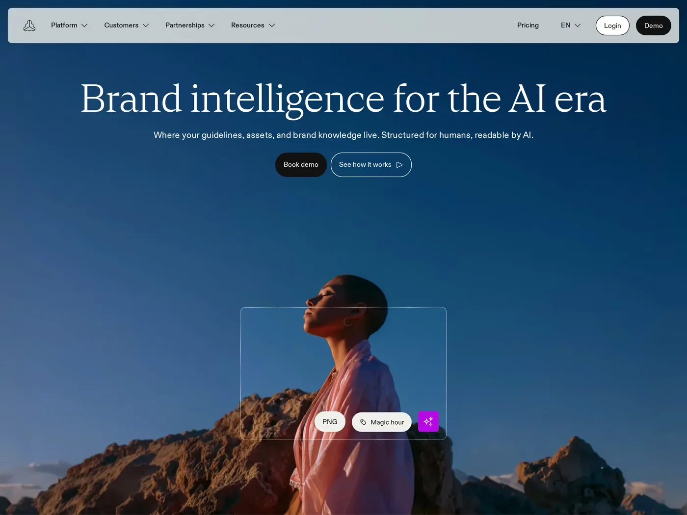 Frontify — screenshot of the hero section