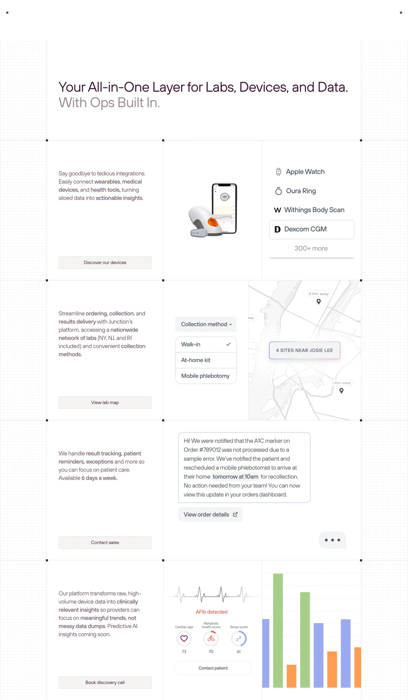 Junction — screenshot of the features section