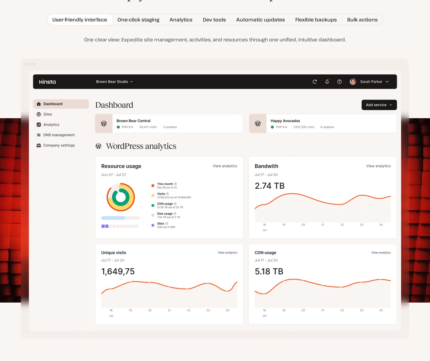 Kinsta Products section