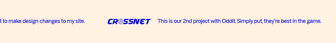 Oddit — screenshot of the testimonials section