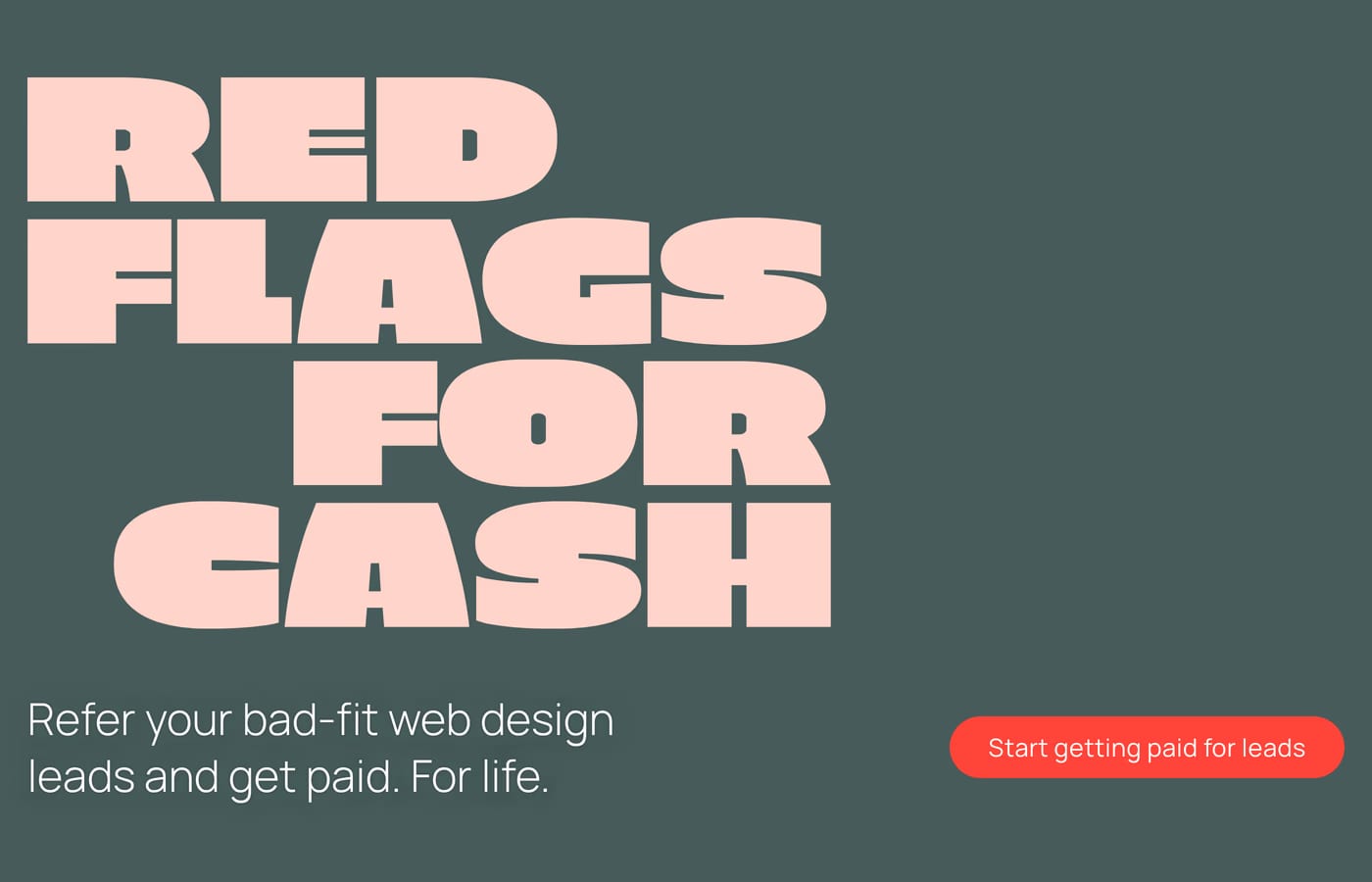 Red Flags For Cash — screenshot of the hero section