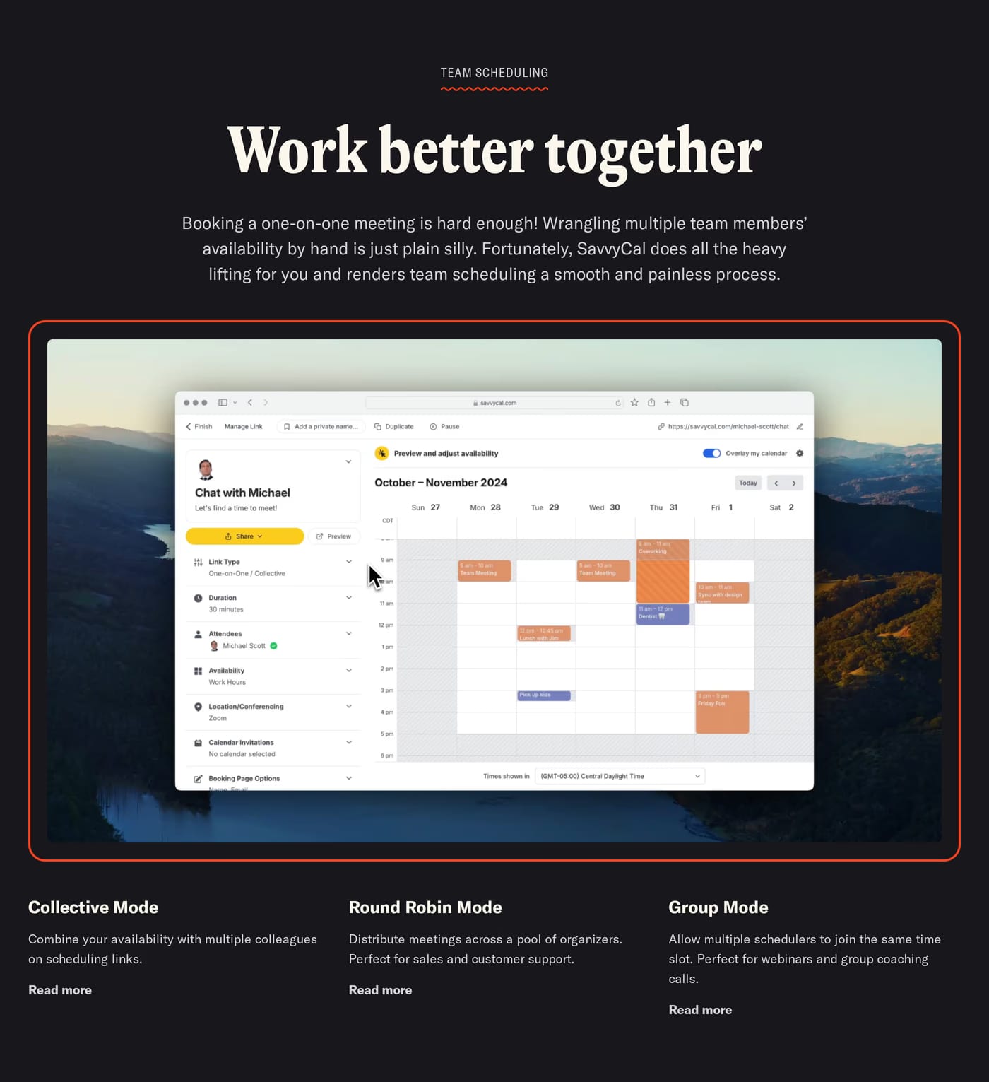 Savvy cal Features section