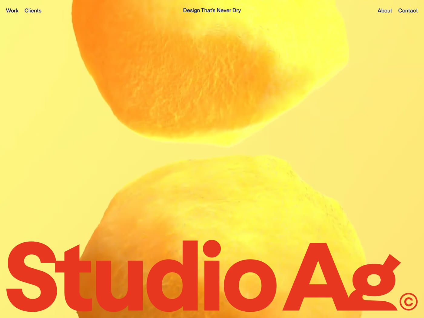 Studio Agriculture — screenshot of the hero section