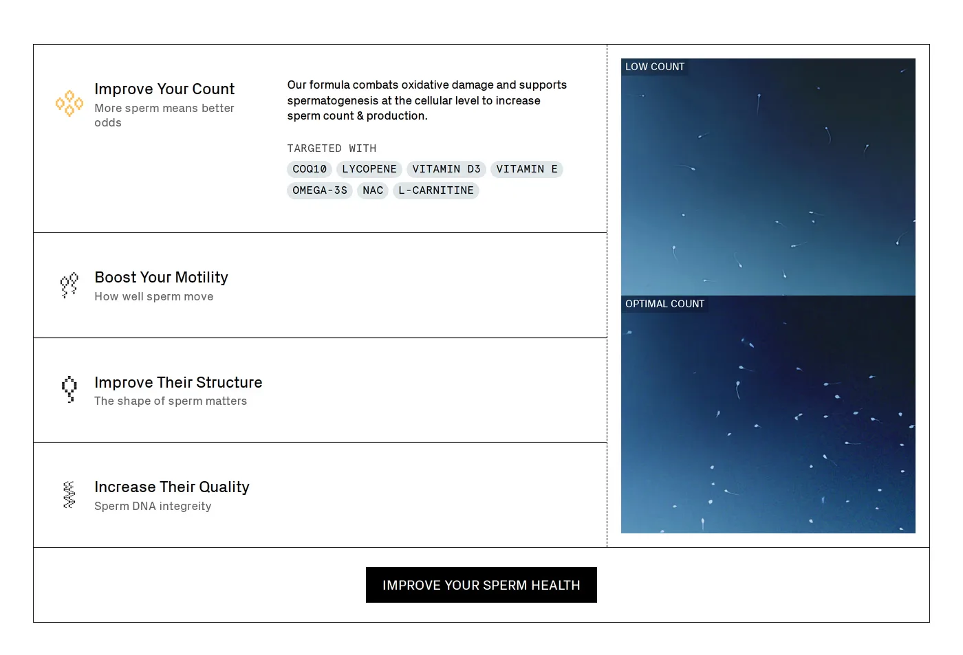 Swim Club — screenshot of the features section