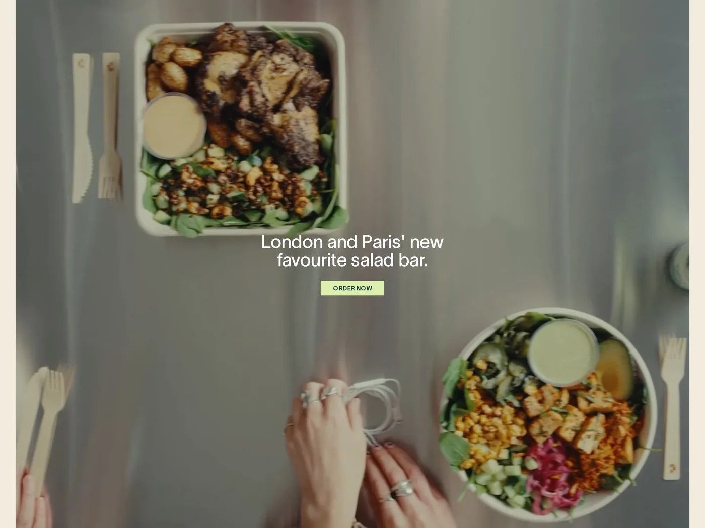 The Salad Project — screenshot of the hero section