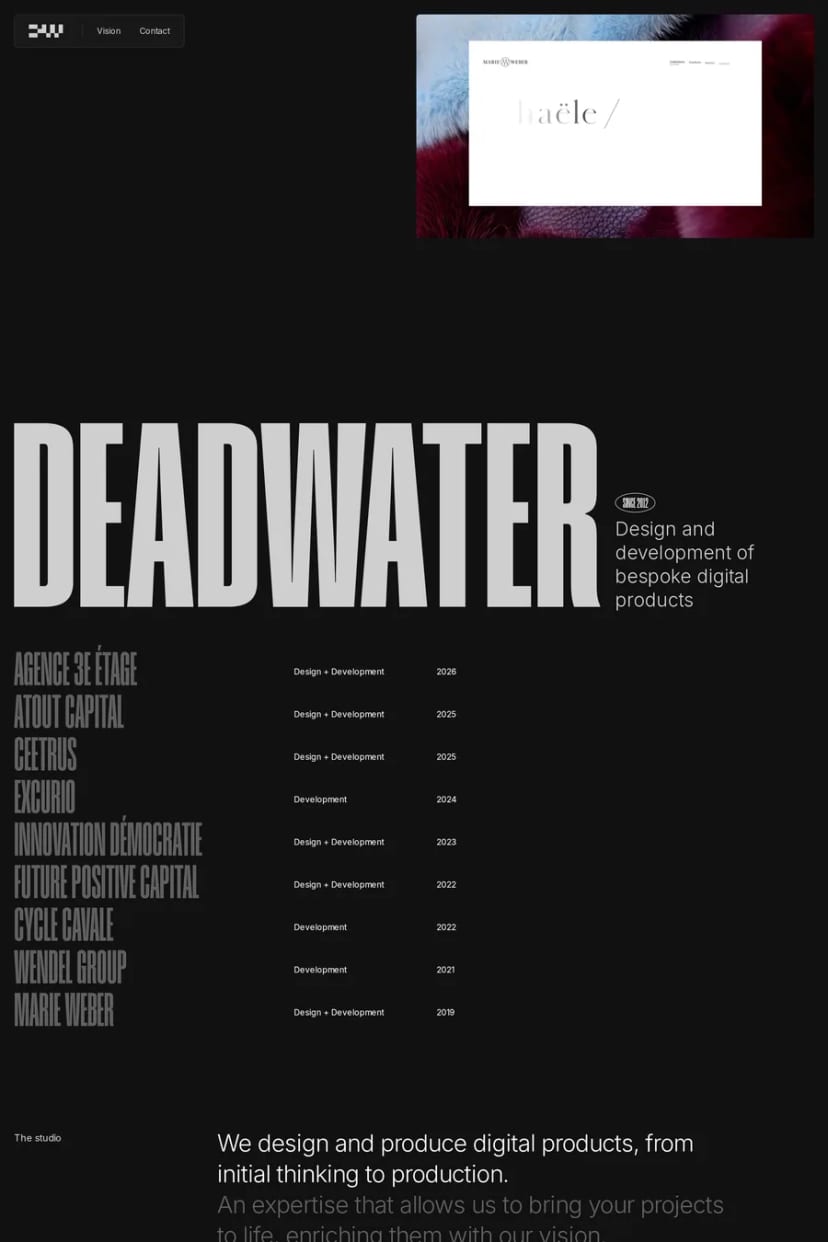 Deadwater — screenshot of an agency site