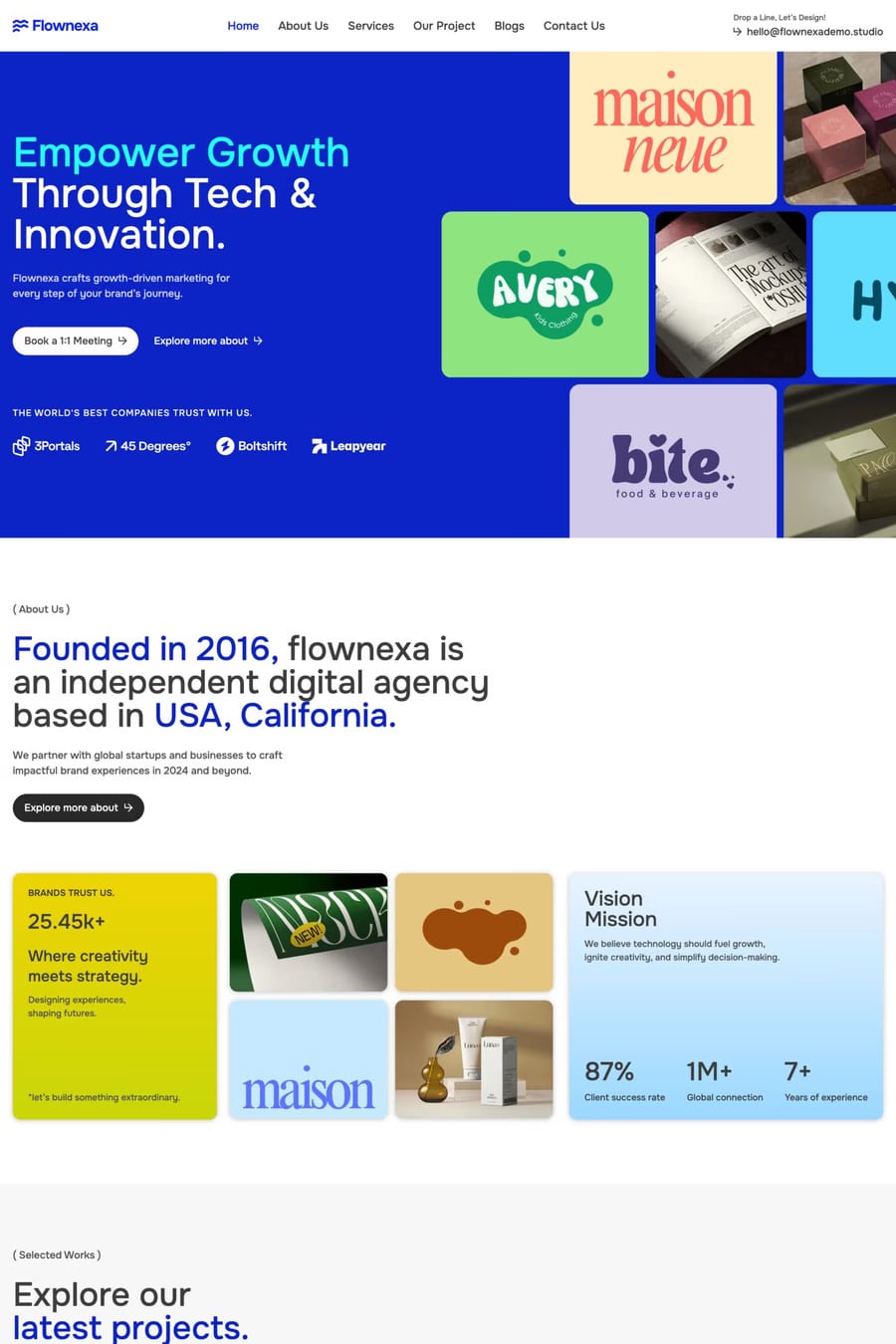 Flownexa — agency website template screenshot