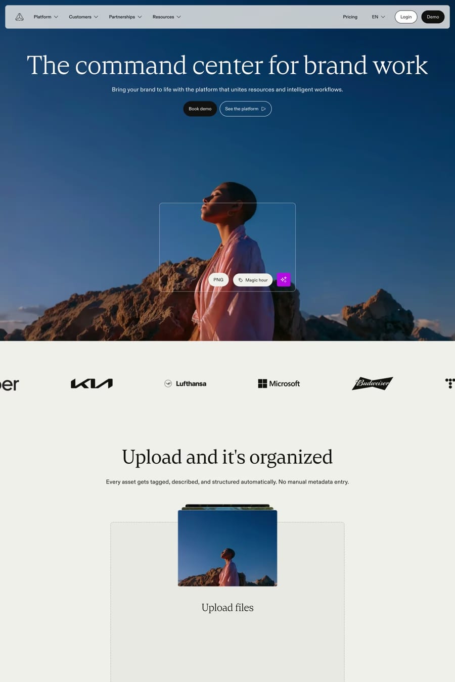Frontify — landing website screenshot