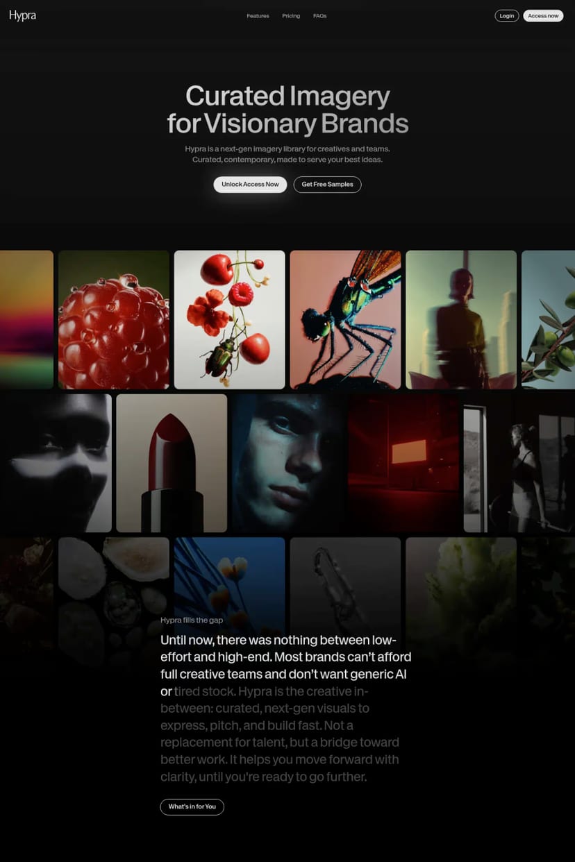 Hypra — screenshot of a landing page