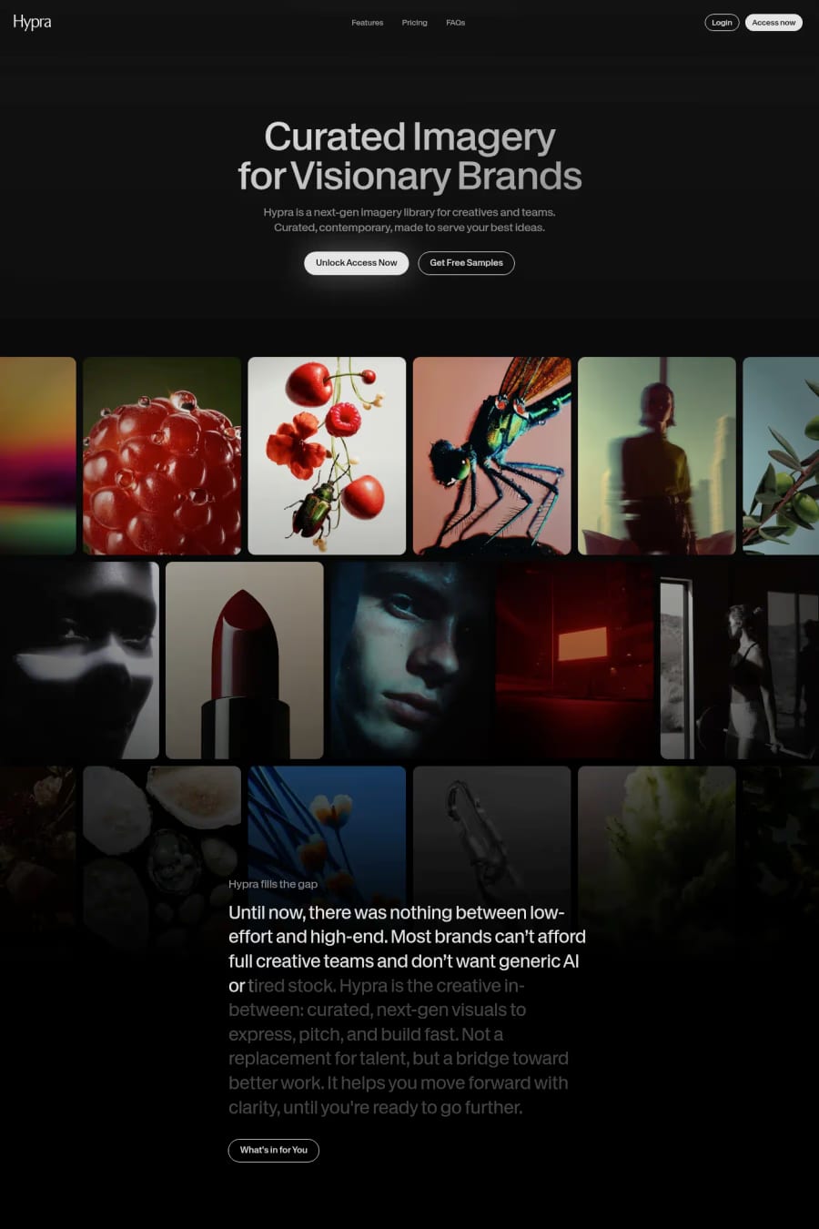 Hypra — landing website screenshot