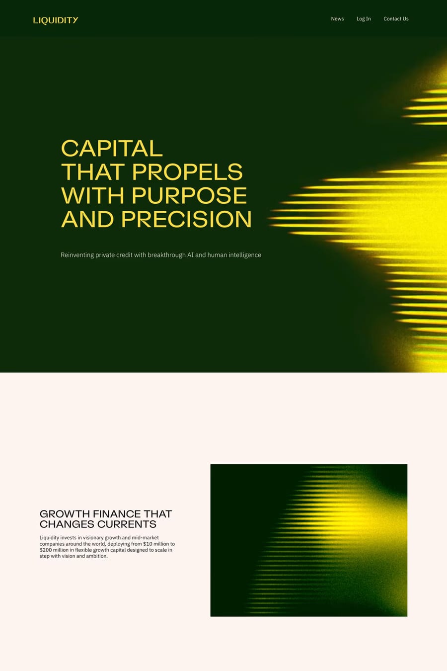 Liquidity — landing website screenshot