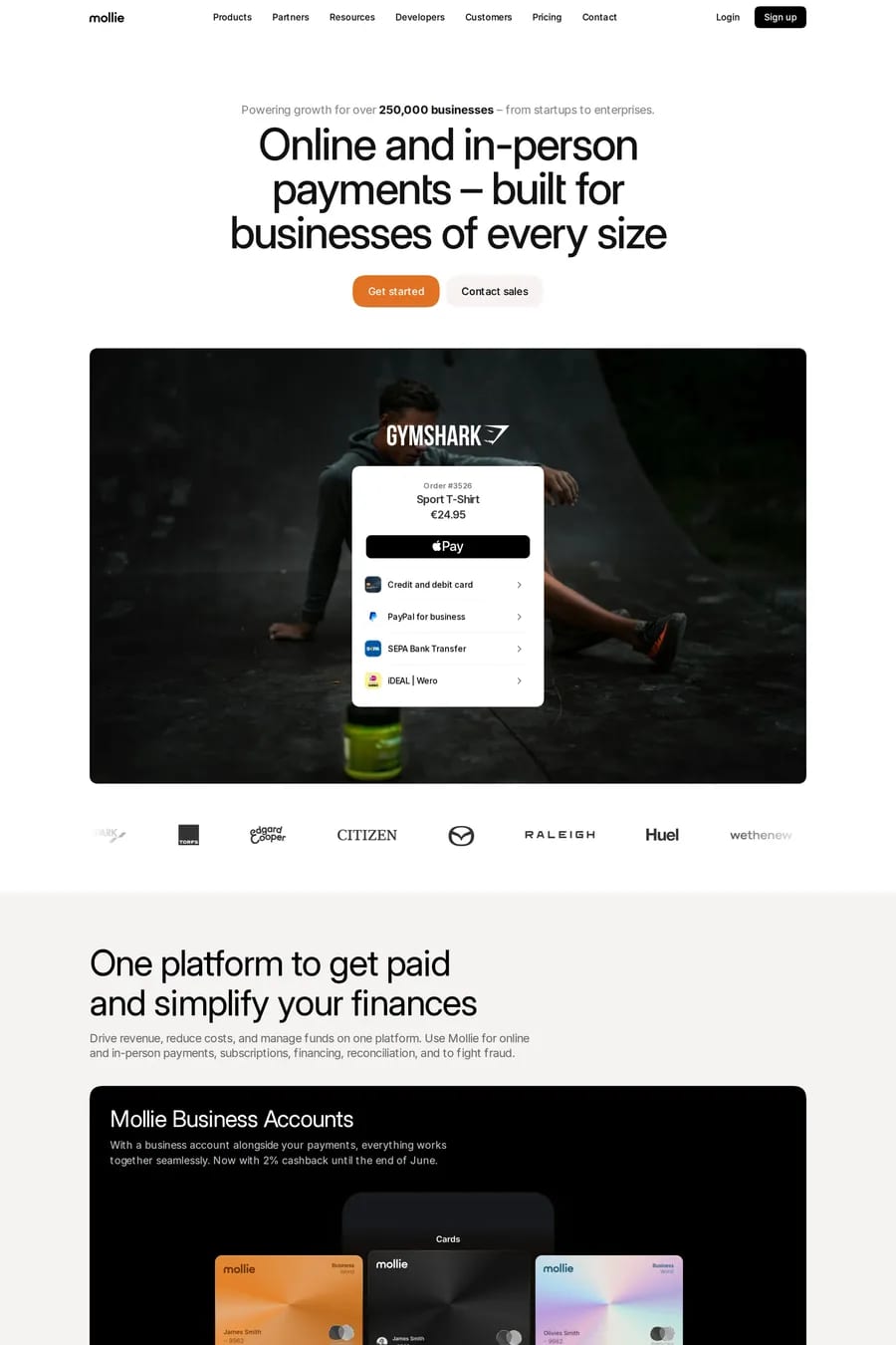 Mollie — landing website screenshot