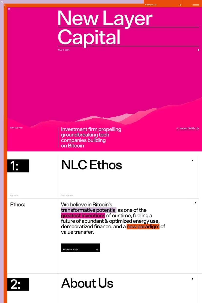 New Layer Capital — screenshot of a landing page