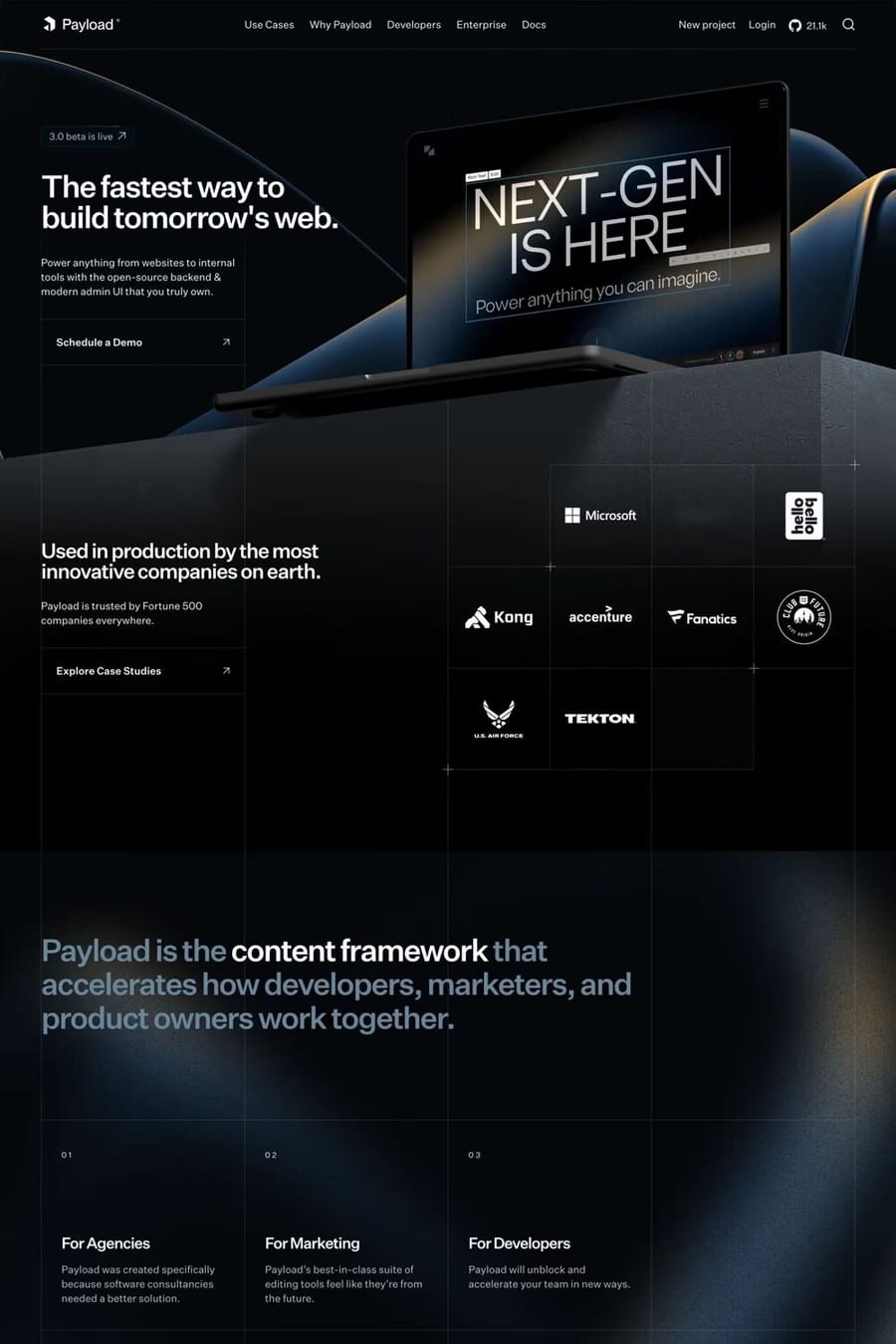 Payload — screenshot of a dark, detailed development landing page in black and dark blue