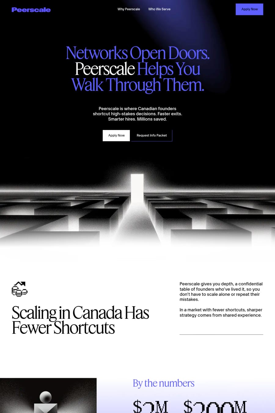 Peerscale — landing website screenshot