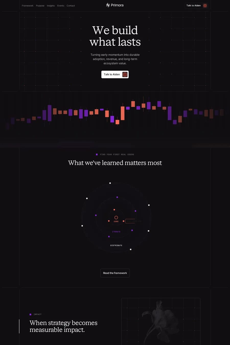 Primora — agency website screenshot