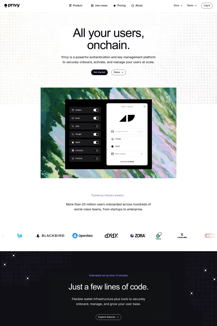 Privy — landing website screenshot