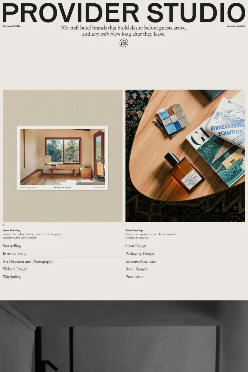 Provider — screenshot of an agency site