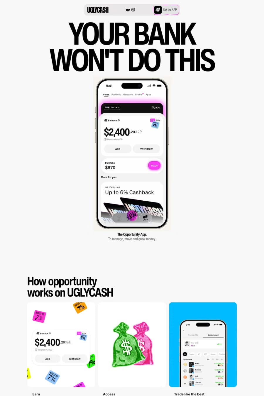 UGLYCASH — landing website screenshot