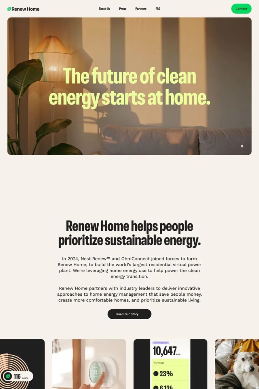 Renew Home — landing website screenshot