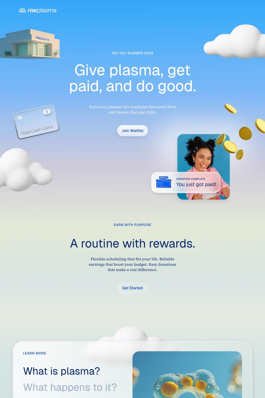 Rise Plasma — landing website screenshot