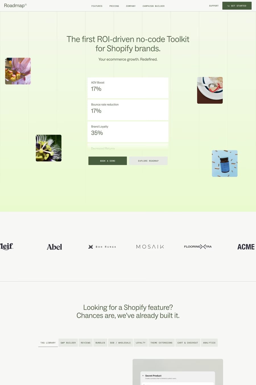 Roadmap — landing website screenshot