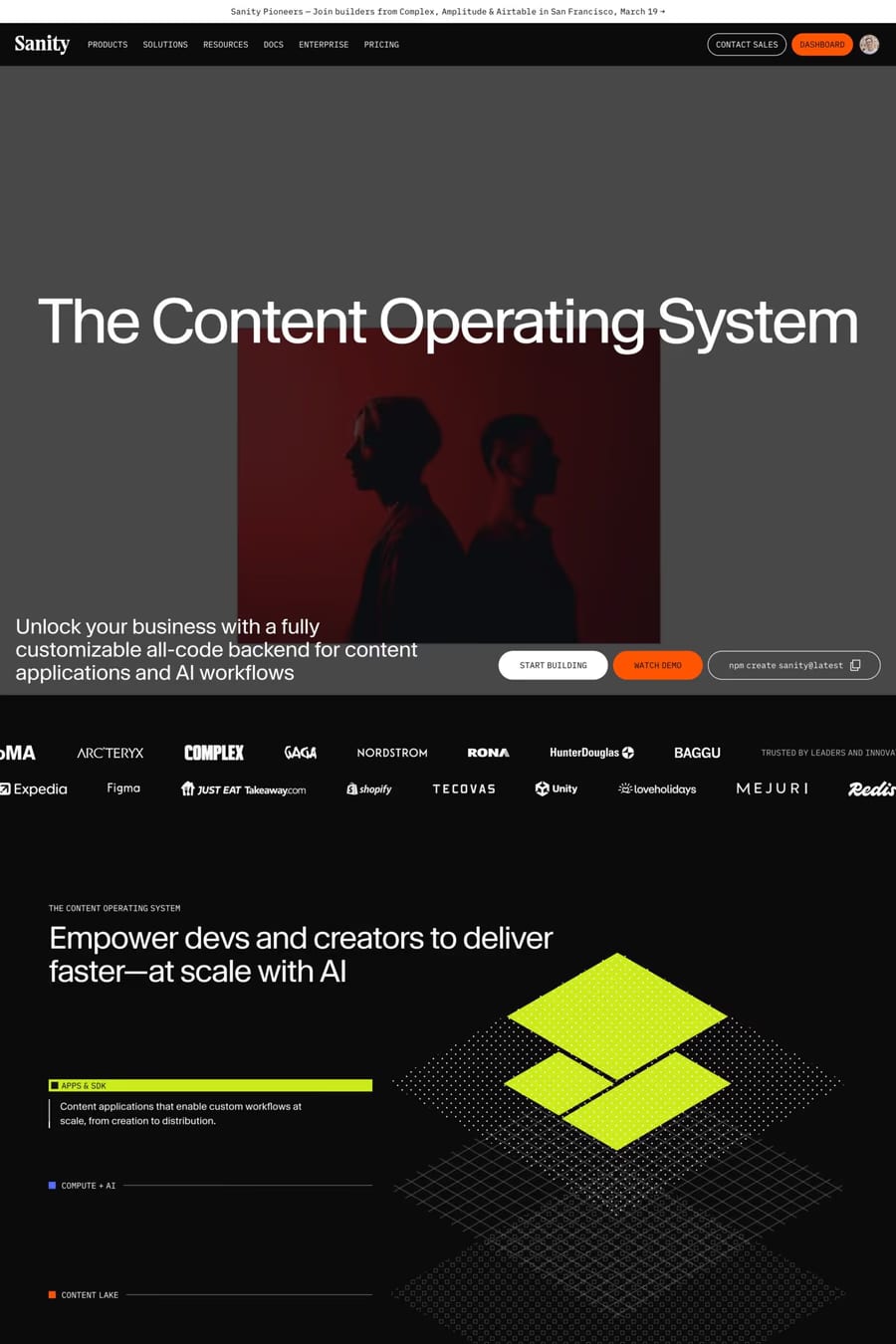 Sanity — landing website screenshot