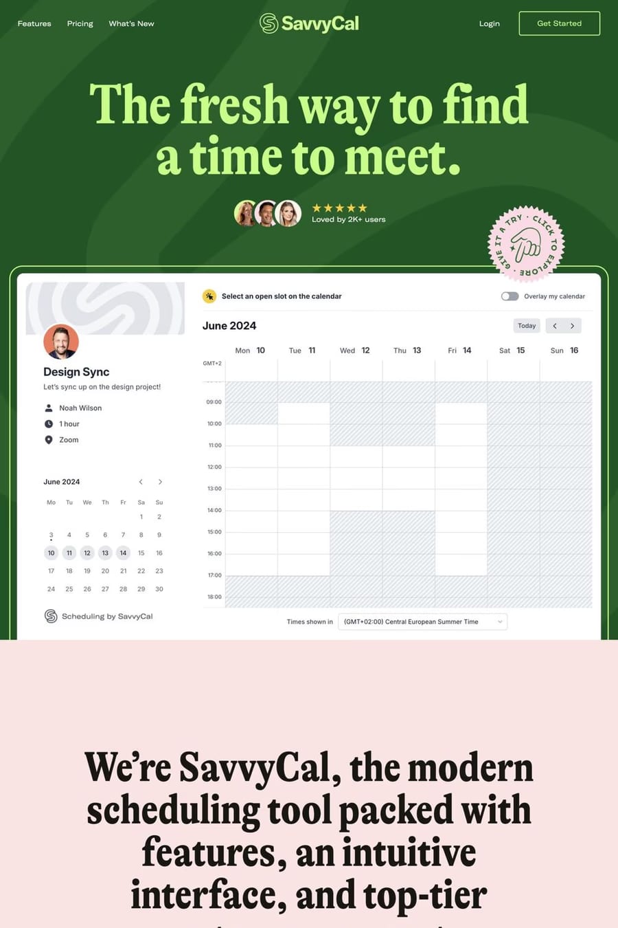 Savvy cal — landing website screenshot