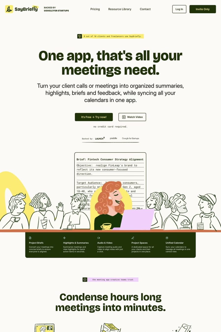 SayBriefly — landing website screenshot