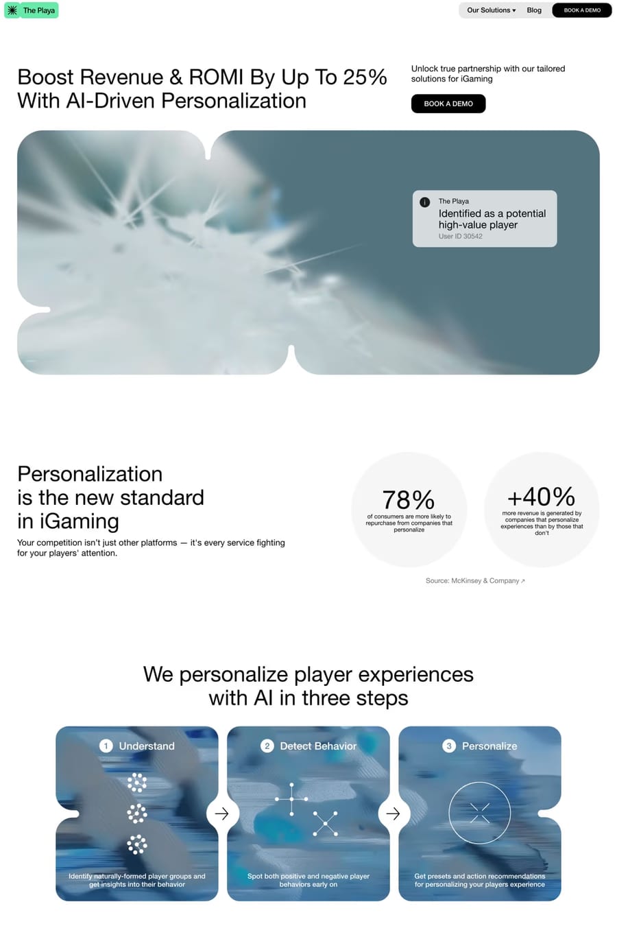 The Playa — landing website screenshot