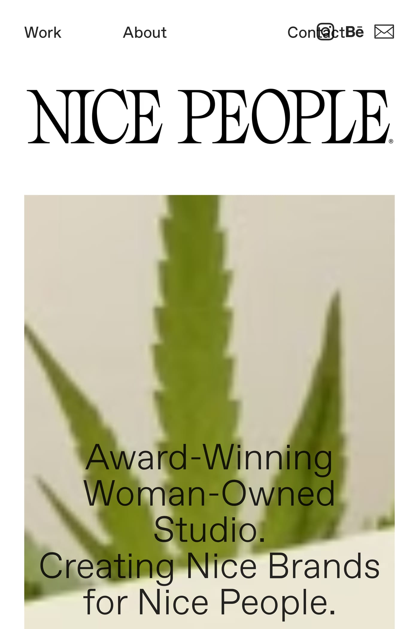 Nice People work page