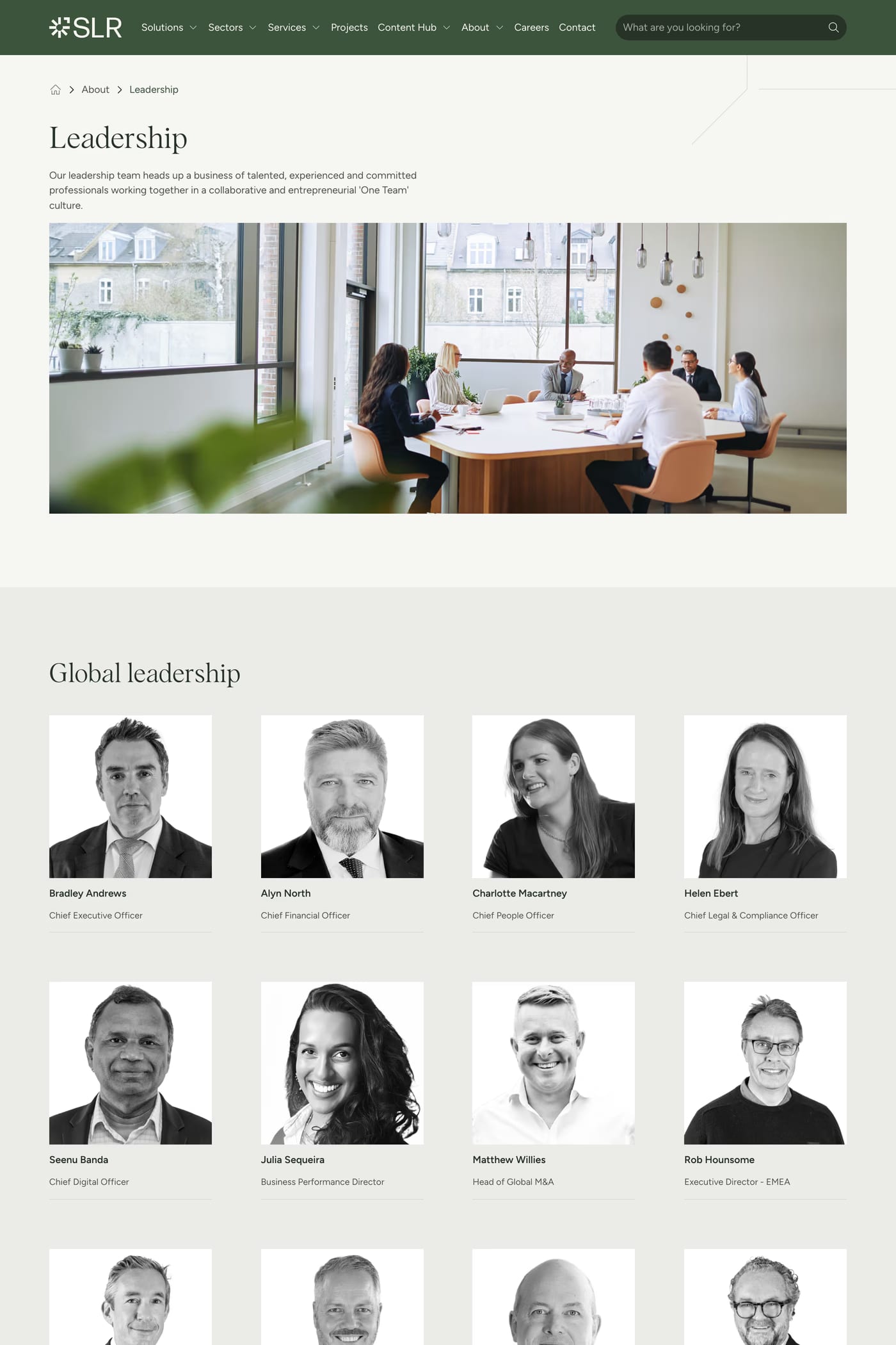 SLR Consulting — screenshot of the about page