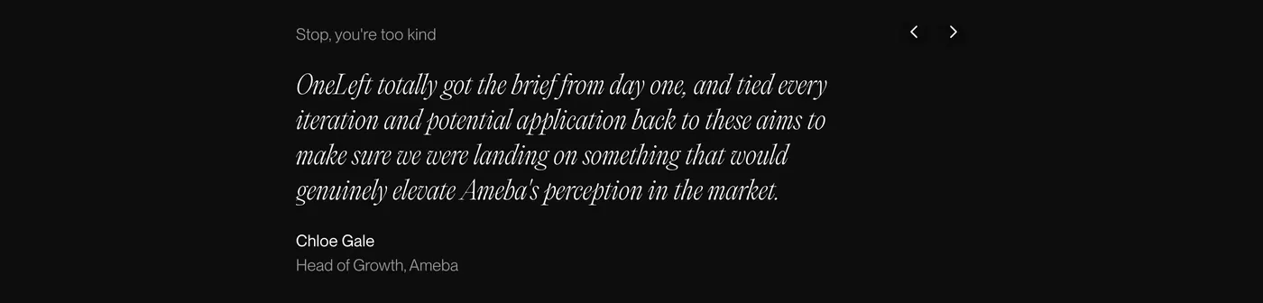 OneLeft — screenshot of the footer section