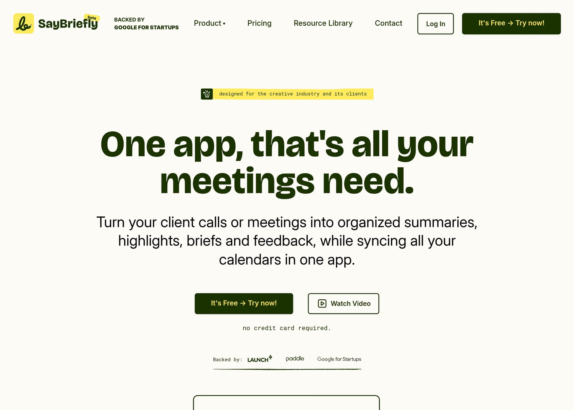 SayBriefly — screenshot of a hand-drawn, fun software landing page in dark green and yellow
