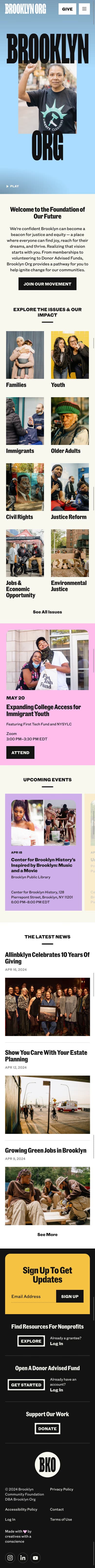 Brooklyn Org mobile screenshot