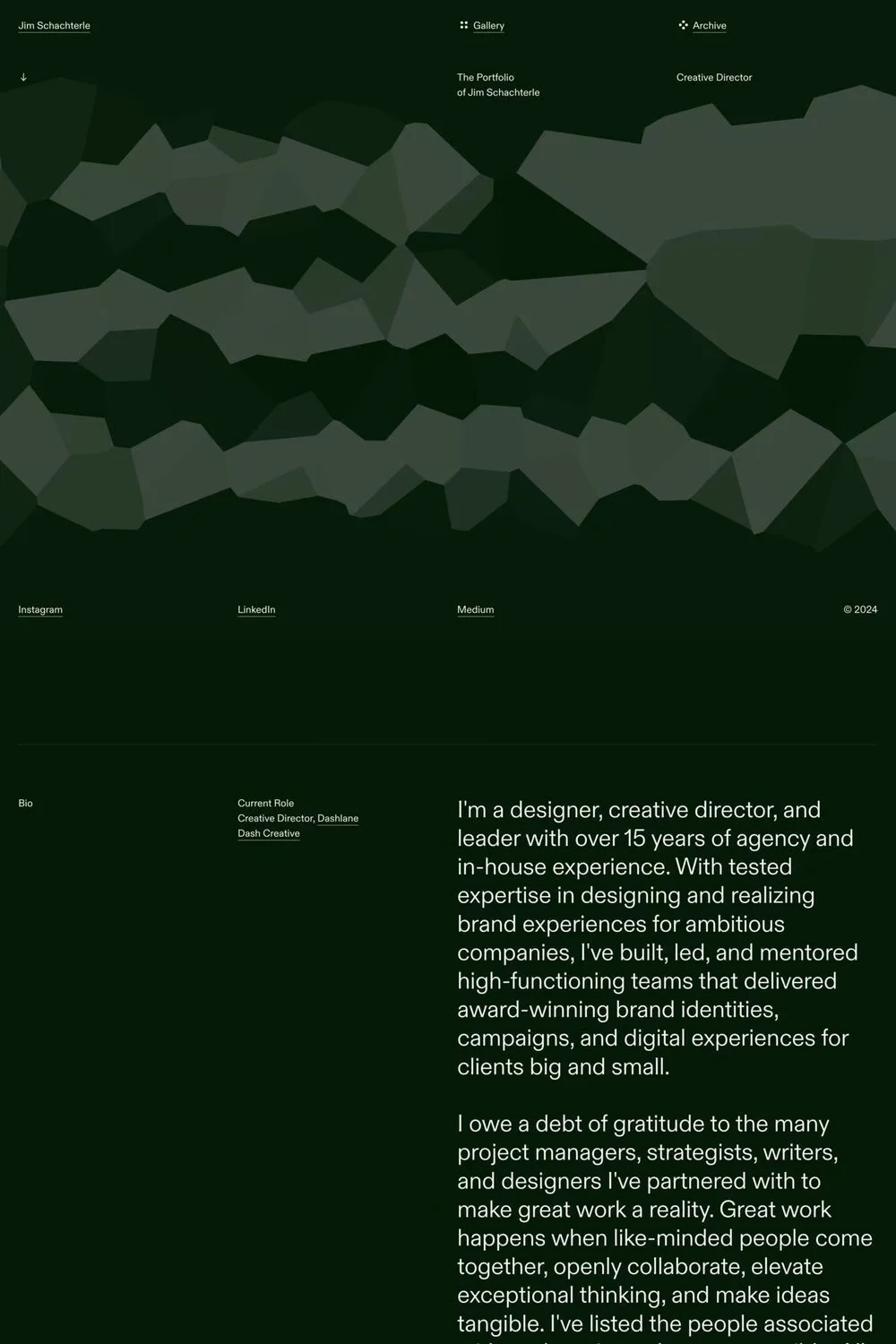 Jim Schachterle — screenshot of a design portfolio site in dark green, with patterns