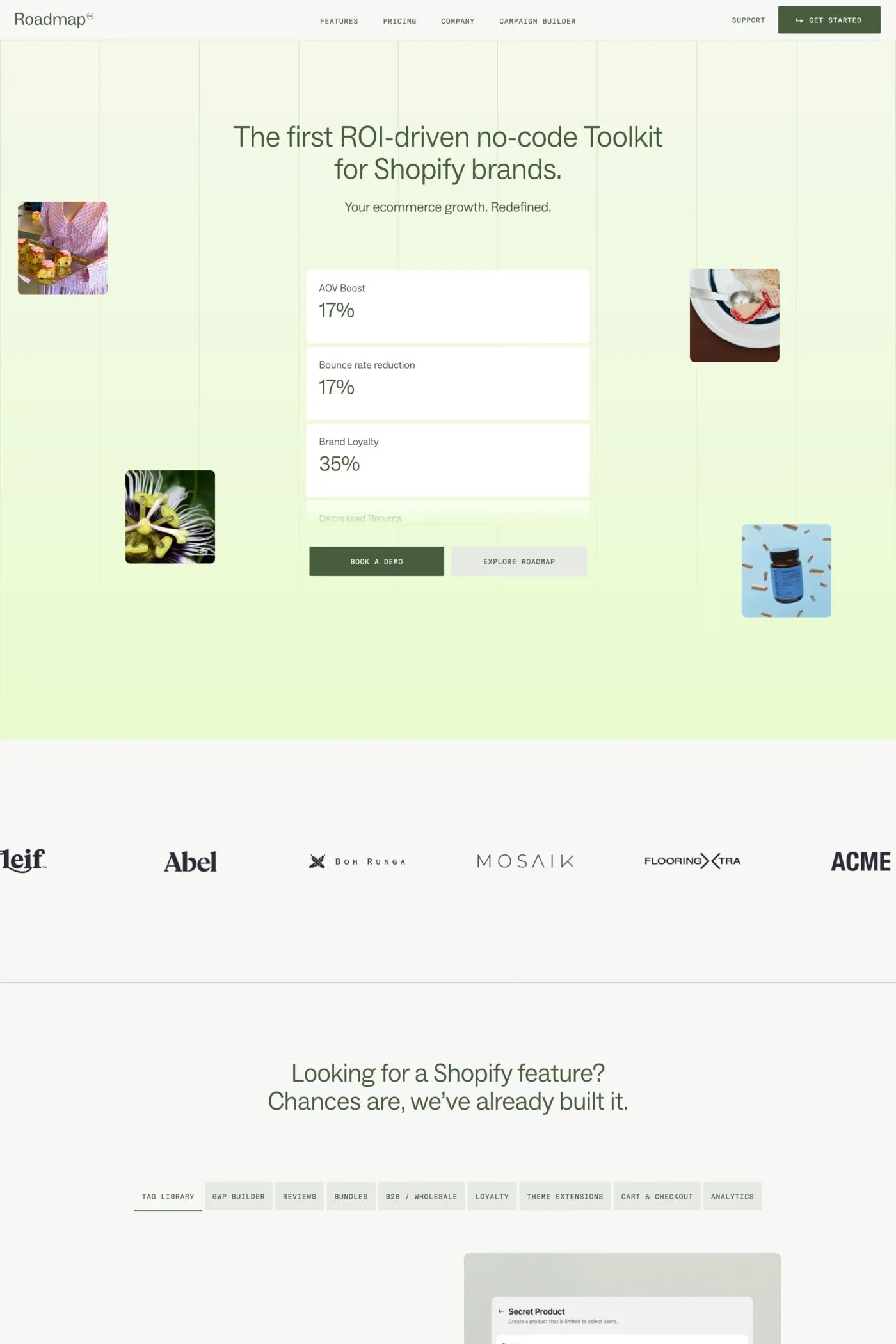 Roadmap — screenshot of a development landing page in dark green and light green, with sans-serif type and monospaced type